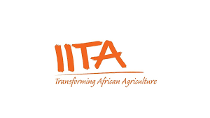  International Institute of Tropical Agriculture (IITA)