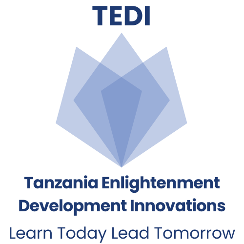 Tanzania Enlightenment Development Innovations (TEDI)