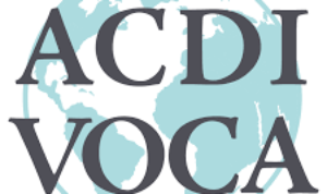 Procurement Specialist at ACDI/VOCA